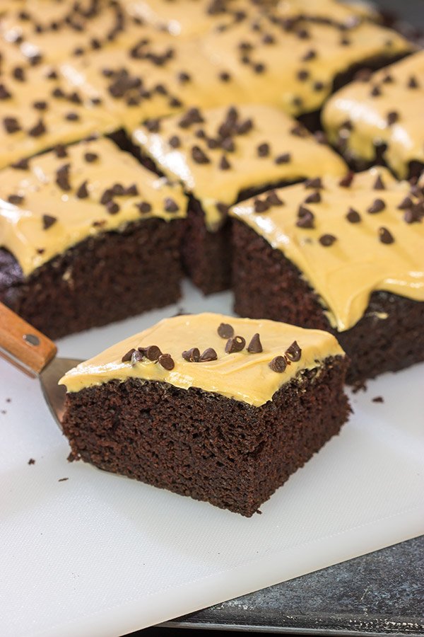 This Chocolate Cake with Peanut Butter Frosting is moist, delicious and super easy to make!  Plus, you probably have all of the ingredients in your pantry right now!