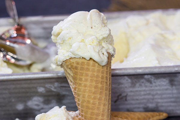 This homemade French Vanilla Ice Cream is packed with vanilla beans for a deep vanilla flavor.  Grab a scoop for dessert tonight!