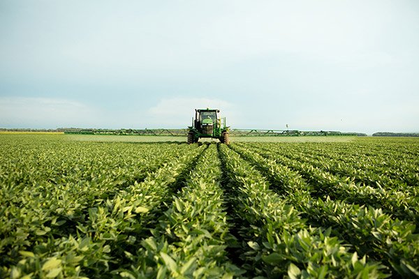 Soybean Farming