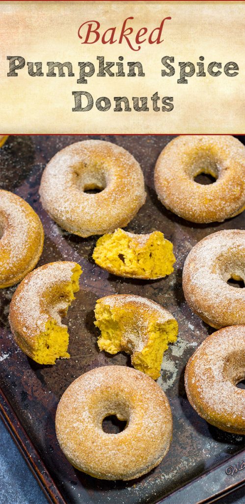 These Baked Pumpkin Spice Donuts are packed with cinnamon and pumpkin...and they're the perfect sweet treat for a chilly Autumn day!