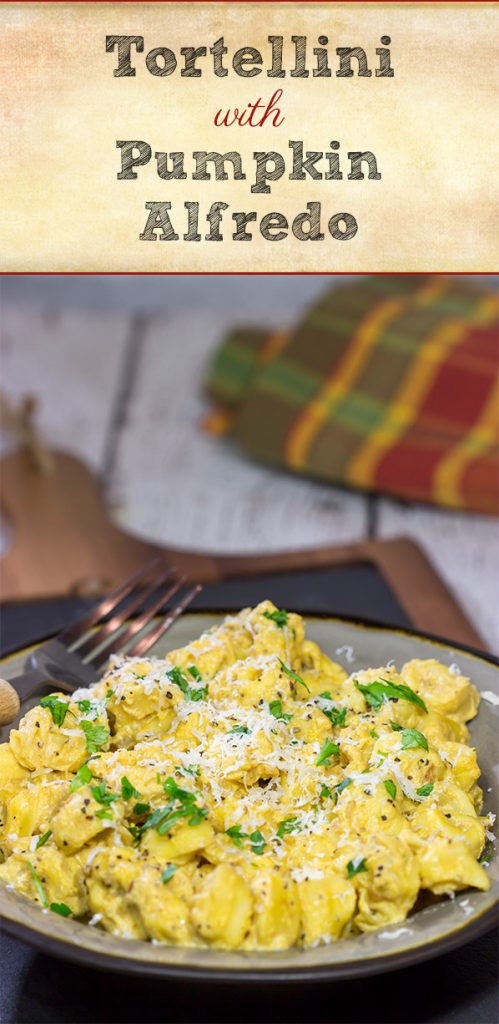 This Tortellini with Pumpkin Alfredo is creamy, delicious and so easy to make for a chilly Fall evening. Make tonight a comfort food night!