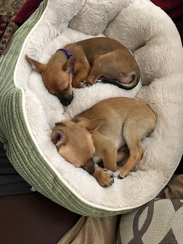 Edith and Millie