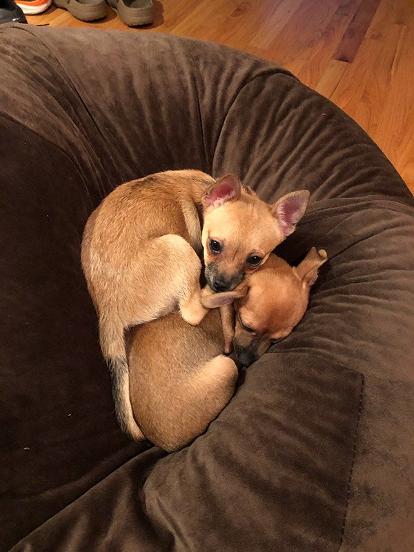 Edith and Millie