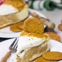 This Gingerbread Swirl Cheesecake is a fun and festive holiday dessert...just make sure to save a slice for Santa!