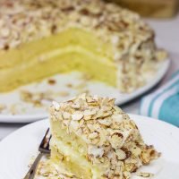 Looking for a unique cake idea?  This Burnt Almond Torte is filled with vanilla pastry cream...oh yeah, and it's smothered in sugared almonds.  Talk about a delicious sweet treat!