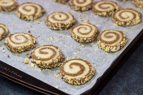 These Chocolate Almond Sugar Cookies have something for everyone!  These swirled chocolate and vanilla cookies get rolled in chopped almonds before going into the oven.  Yum!