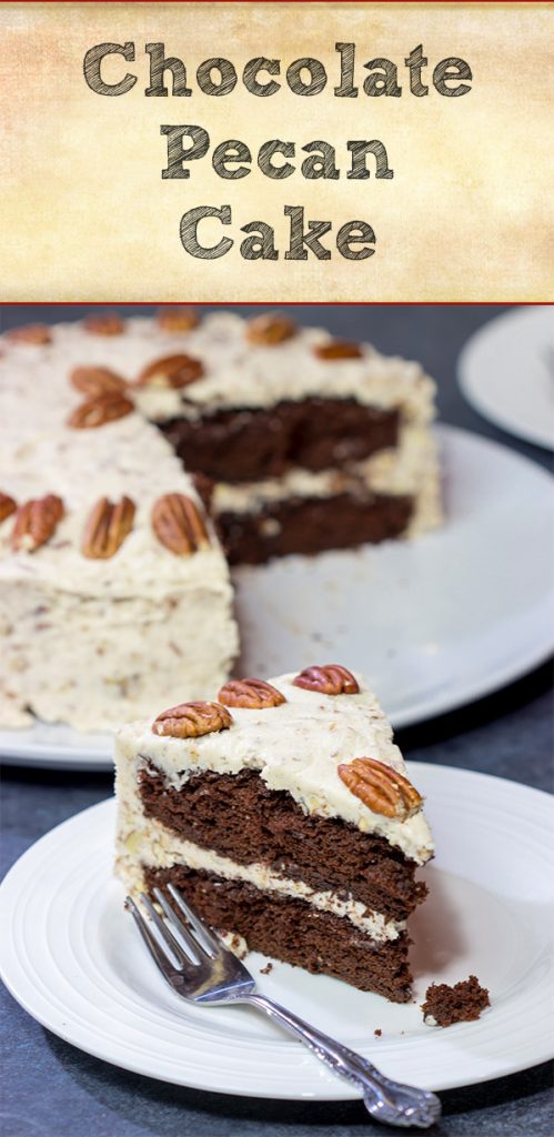 Craving a good slice of cake? Then pull out the pecans and make this Chocolate Pecan Cake! This is a moist chocolate cake covered with pecan frosting...and it's delicious!