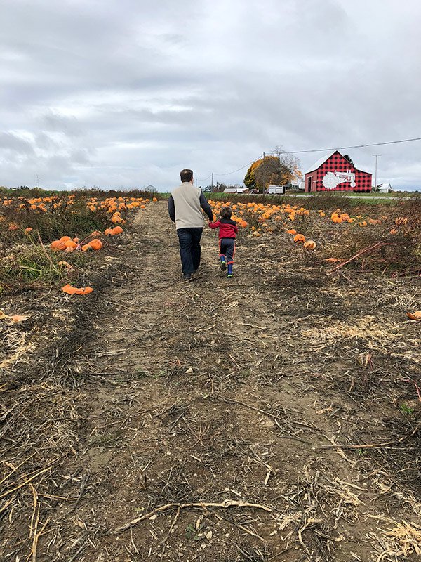 Dellavale Farm Pattersonville, NY