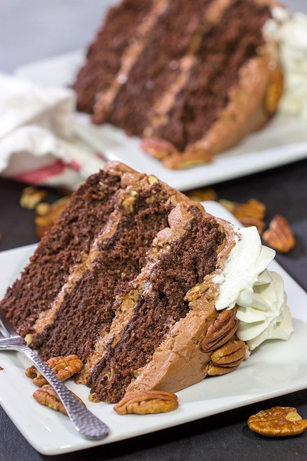 Forget the pie!  This Mississippi Mud Cake is a fun twist on the classic Mississippi Mud Pie.  This chocolate cake with chocolate-pecan frosting is one heck of a tasty treat!