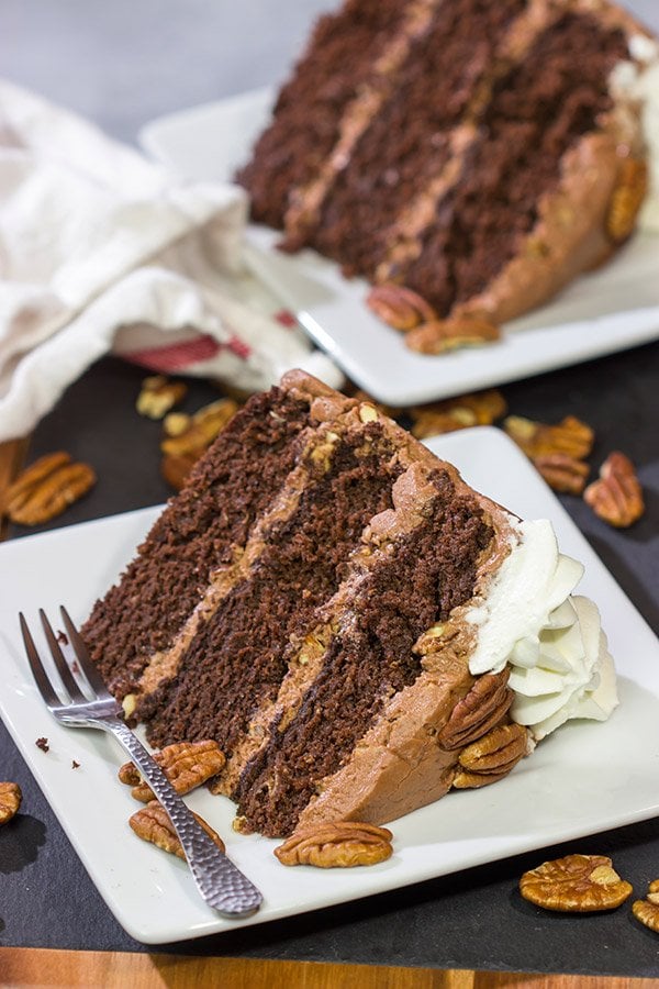 Forget the pie!  This Mississippi Mud Cake is a fun twist on the classic Mississippi Mud Pie.  This chocolate cake with chocolate-pecan frosting is one heck of a tasty treat!