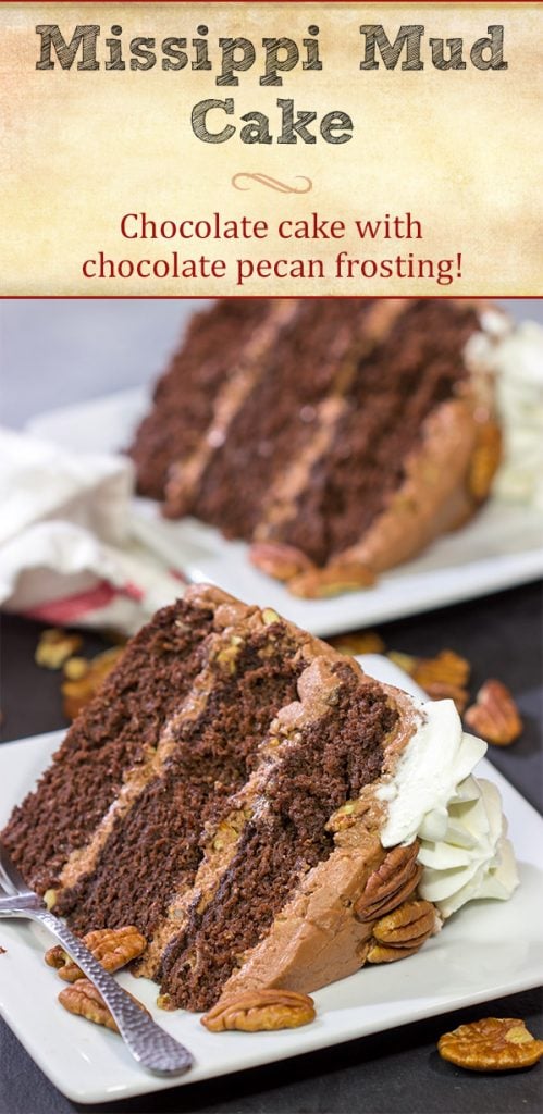 Forget the pie! This Mississippi Mud Cake is a fun twist on the classic Mississippi Mud Pie. This chocolate cake with chocolate-pecan frosting is one heck of a tasty treat!