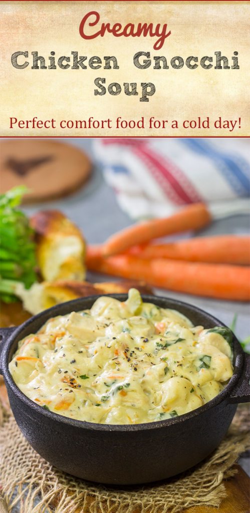 Sometimes you just need a bowl of delicious, creamy soup. For those times, this Creamy Chicken Gnocchi Soup is the perfect solution!