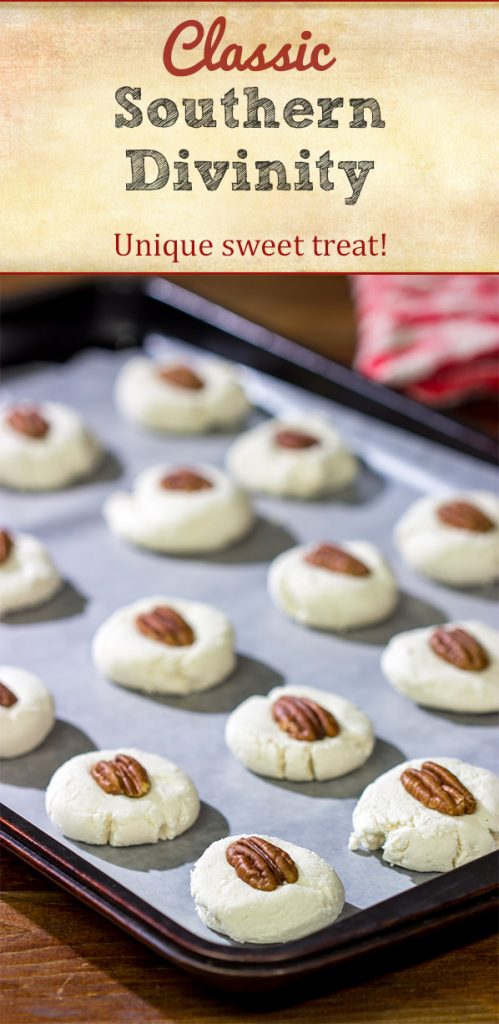 Classic Southern Divinity is a nougat-like confection. It's light and airy, and it's often topped with pecans or dried fruit. One bite, and you'll be hooked!