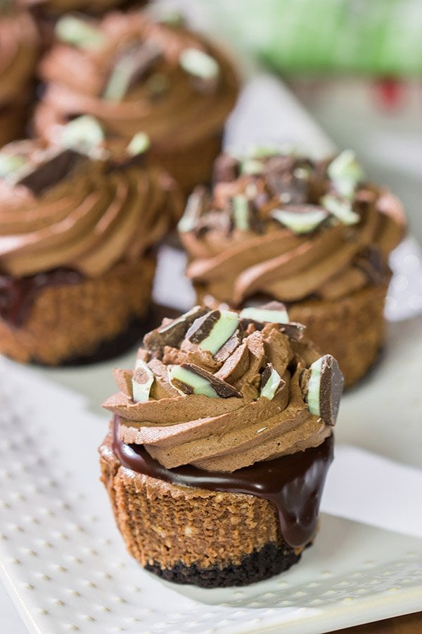 Topped with chocolate ganache and chocolate whipped cream, these Mini Chocolate Cheesecakes are perfect for the chocoholic in your life!