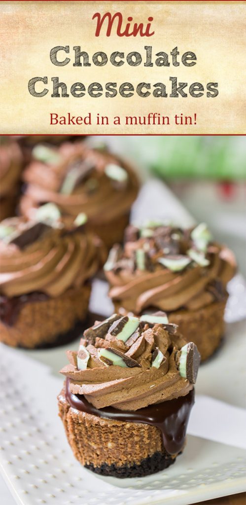 Topped with chocolate ganache and chocolate whipped cream, these Mini Chocolate Cheesecakes are perfect for the chocoholic in your life!