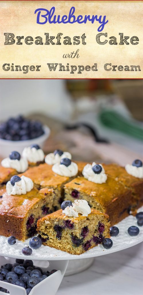 Packed with fresh blueberries and topped with a dollop of ginger whipped cream, this Blueberry Breakfast Cake is a great way to start a summer weekend morning!