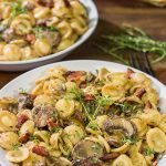 This Orecchiette with Mushroom Thyme Sauce features pasta coated with a creamy, flavorful sauce - and it's easy enough to make for a weeknight meal!