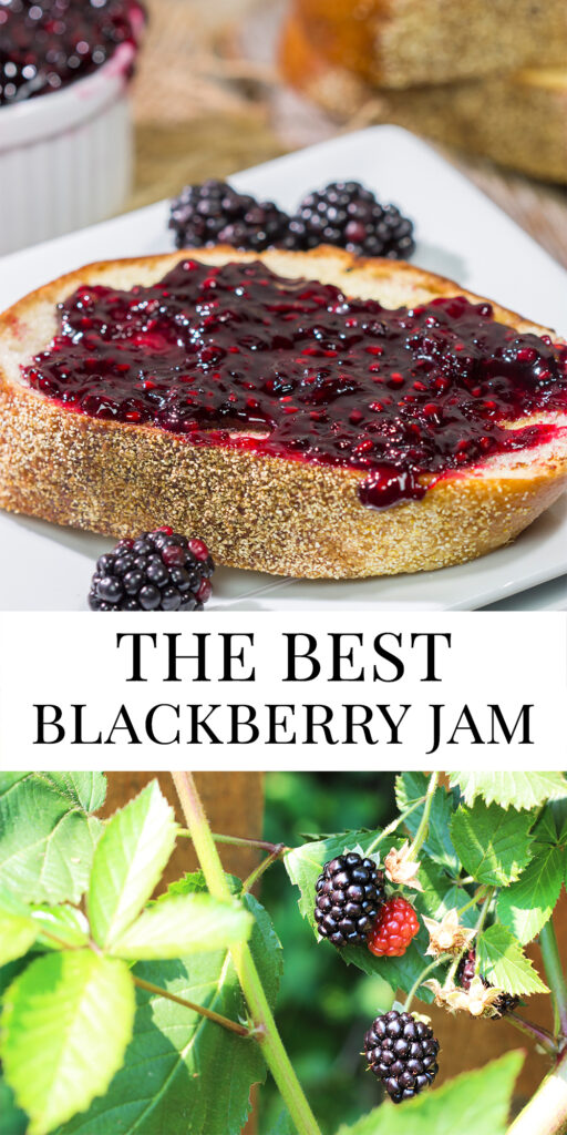 Packed with the flavor of ripe summer blackberries, this Homemade Blackberry Jam is a seasonal favorite in our house!