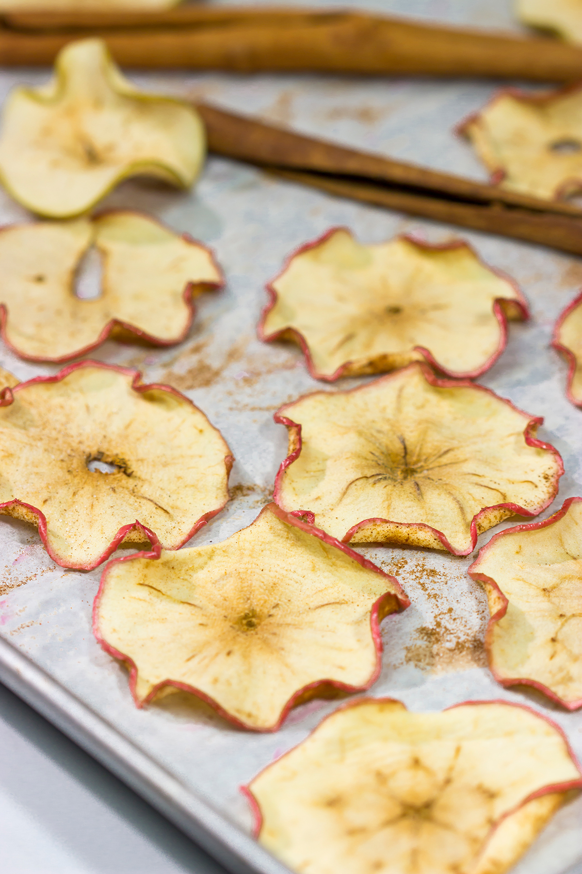 Lightly dusted with cinnamon and sugar, these Oven Baked Cinnamon Apple Chips are an easy (and healthy!) snack. Bake up a batch today!