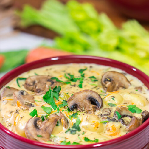 Filled with sautéed mushrooms and potato gnocchi, this Creamy Mushroom Gnocchi Soup is a great way to warm up on a cold winter night!