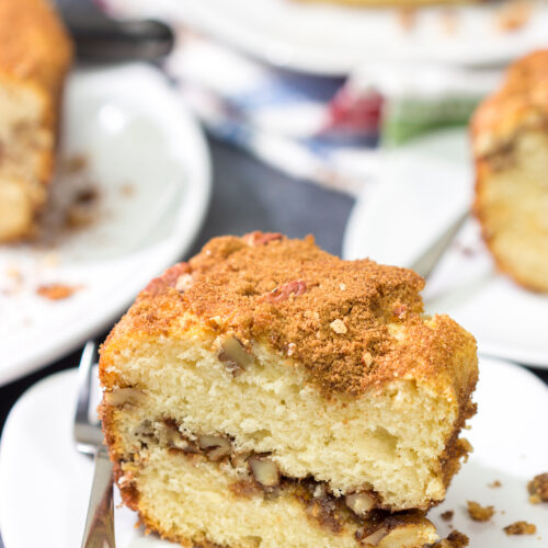 This Cinnamon Crusted Coffee Cake features a tender coffee cake covered entirely with a cinnamon - brown sugar mixture. It's a cinnamon lover's dream!