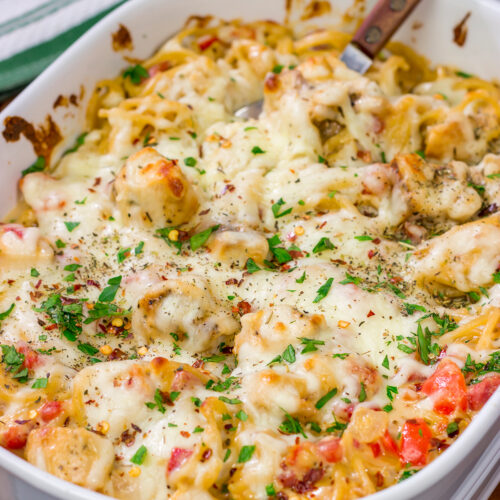 This Chicken Spaghetti features bite-sized pieces of tender chicken tossed in a creamy, cheesy sauce. This recipe is comfort food at its best!