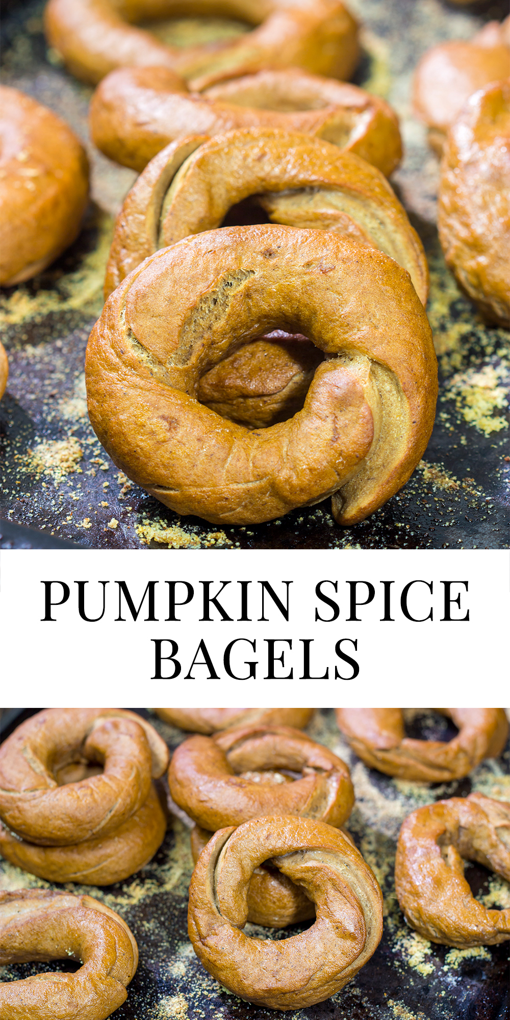 Packed with real pumpkin and pumpkin pie spice, these Pumpkin Spice Bagels are a fun addition to the fall baking lineup!