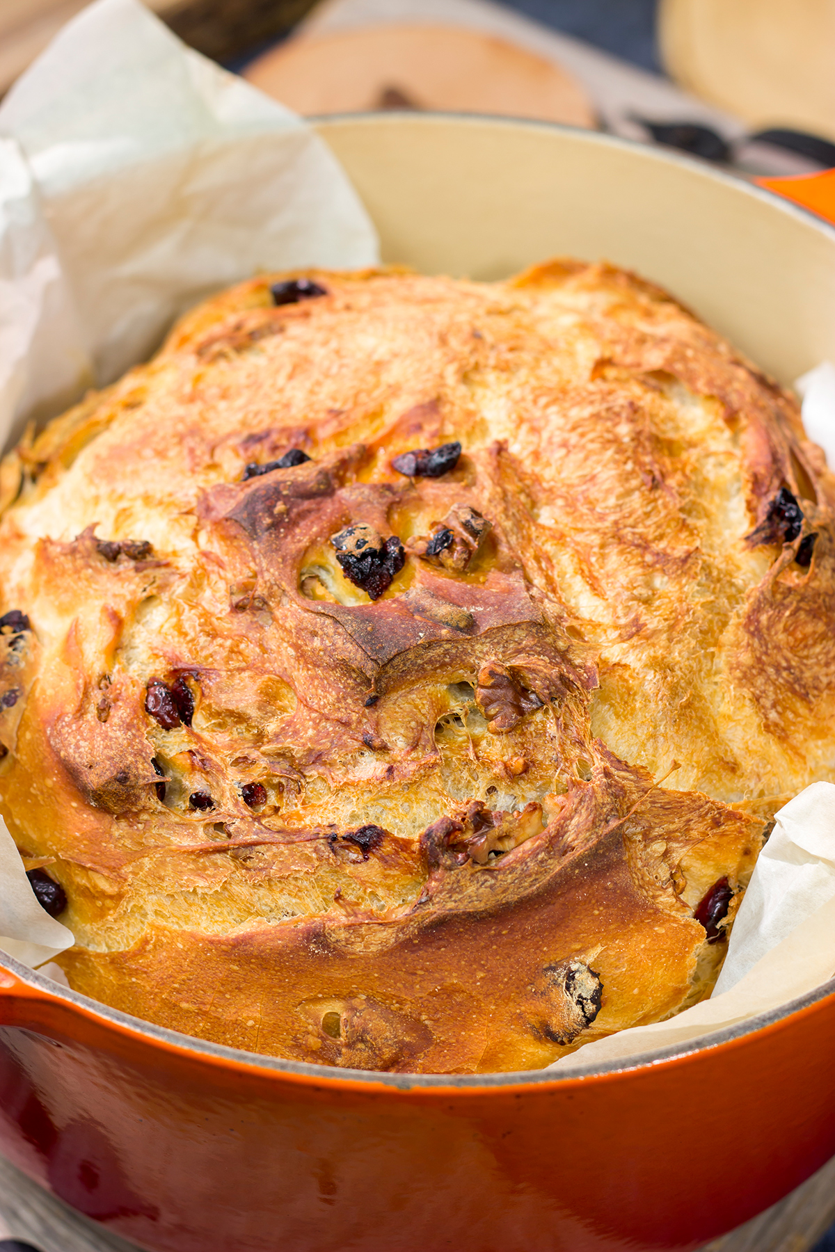 This no-knead Cranberry Walnut Bread is studded with dried cranberry and chopped walnuts. The result is a delicious loaf of rustic homemade bread!