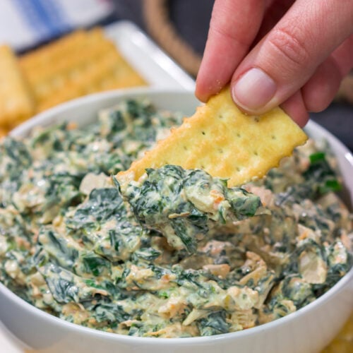 Made with fresh baby spinach, this Fresh Spinach Dip is an easy and delicious appetizer recipe. Grab some fresh veggies or crackers and dig in!