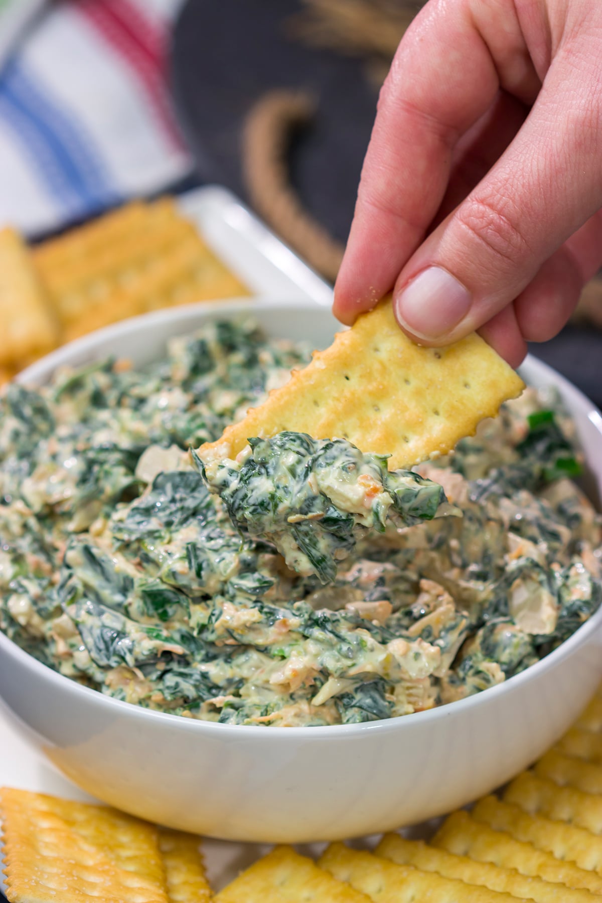Made with fresh baby spinach, this Fresh Spinach Dip is an easy and delicious appetizer recipe. Grab some fresh veggies or crackers and dig in!
