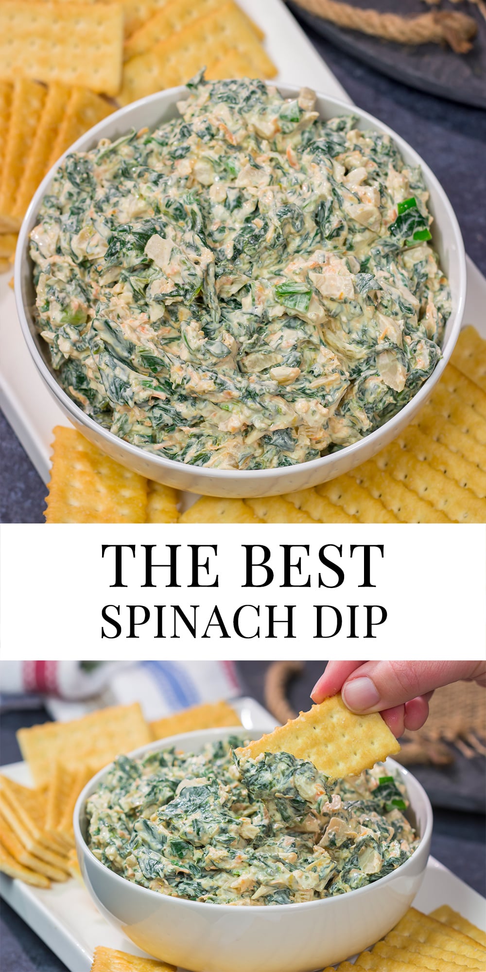 Made with fresh baby spinach, this Fresh Spinach Dip is an easy and delicious appetizer recipe. Grab some fresh veggies or crackers and dig in!