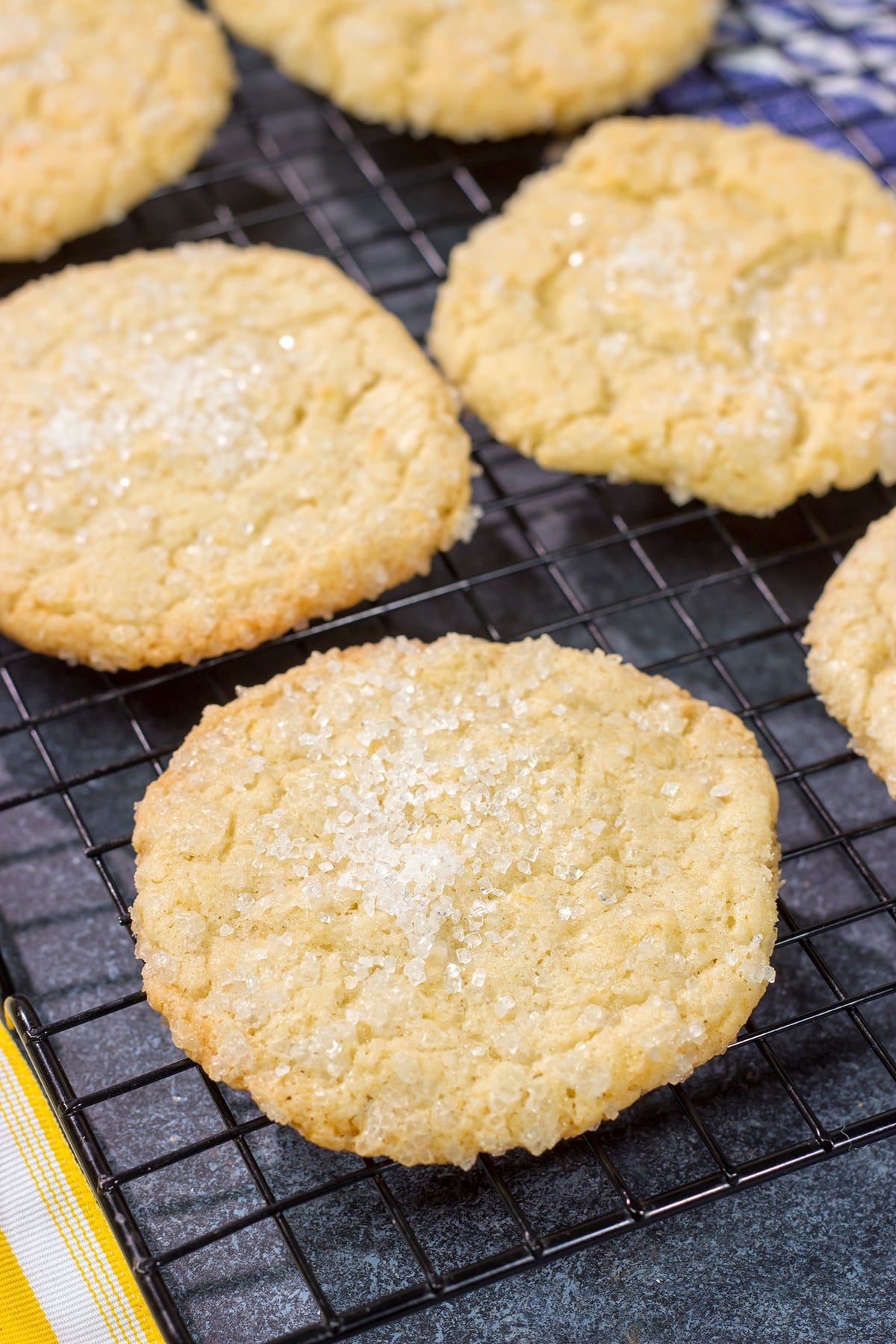 Looking for a tasty citrus-flavored dessert? These Lemon Coconut Sugar Cookies are packed with flavor...and they're absolutely delicious!