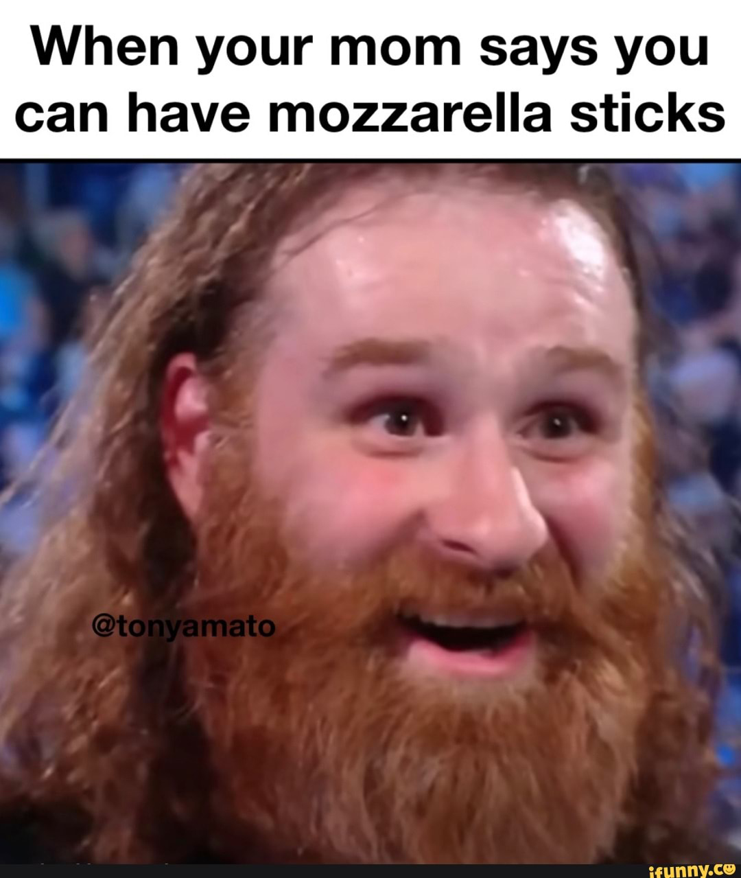 Funny meme about fried mozzarella sticks