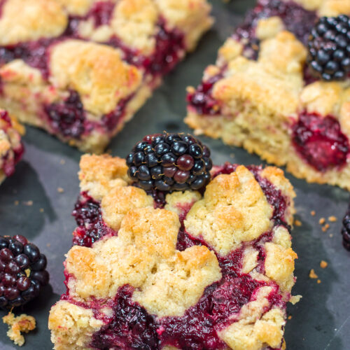 These Blackberry Crumb Bars are similar to a summer berry crumble...just in handheld form! They're filled with blackberry flavor, and they're easy to make!
