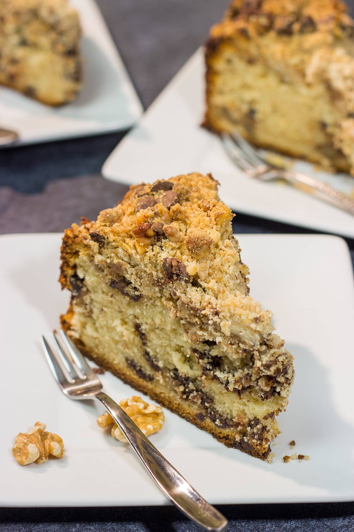 This Chocolate Chip Coffee Cake is soft and tender, and it's topped with an amazing brown sugar + cinnamon streusel. Oh, and it's packed with chocolate chips, too!