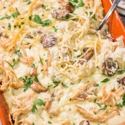 This Chicken Tetrazzini is a baked pasta casserole made with chopped rotisserie chicken, cream sauce and pasta. It's classic comfort food at its best!