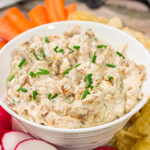 This Caramelized Onion Dip is the perfect party appetizer! Grab some crackers, veggies and chips and get ready to dig into this classic dip!