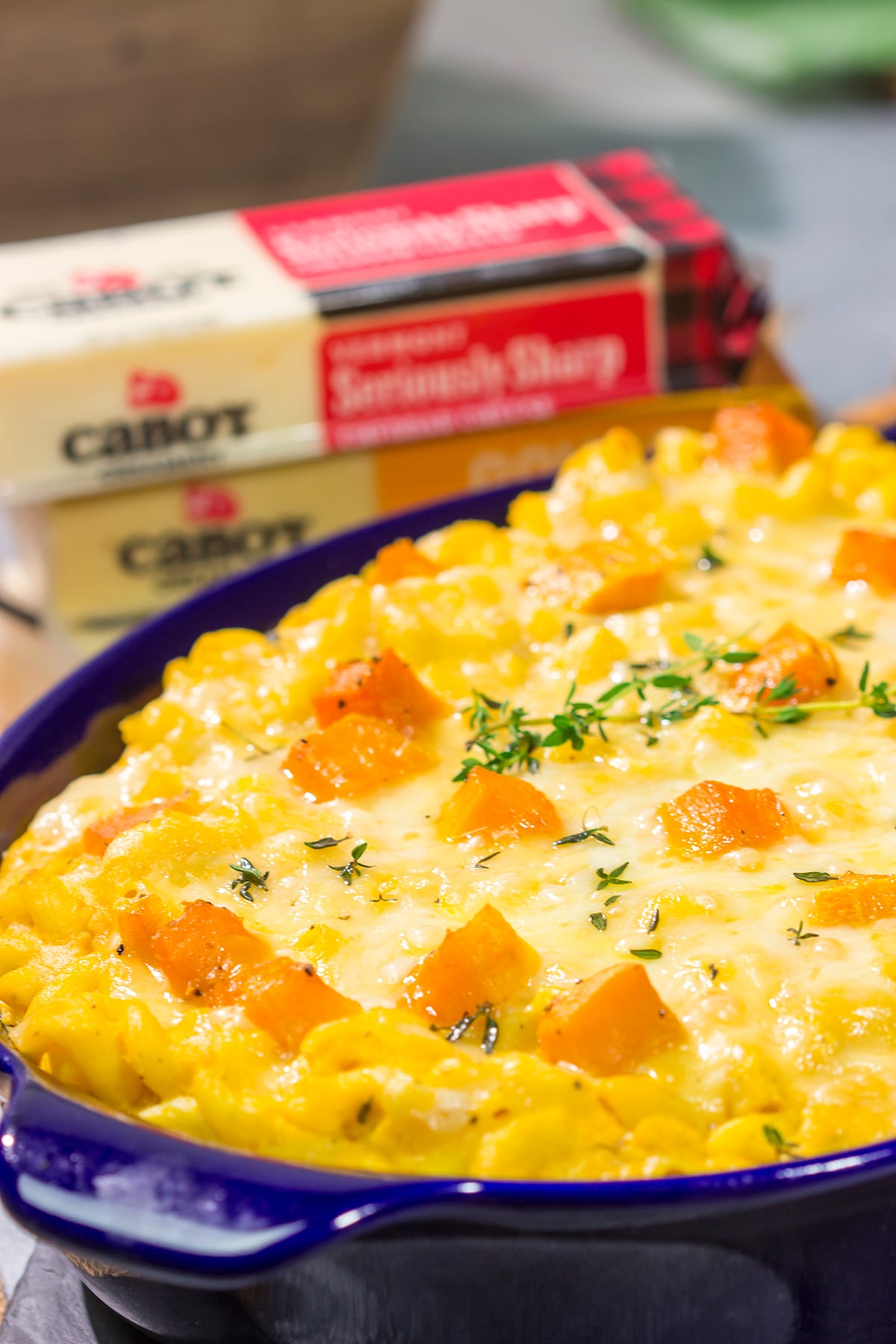 This Butternut Squash Mac and Cheese is a fun twist on a classic dish. With a creamy texture and a slightly nutty flavor, this is a delicious comfort food recipe for chilly nights!