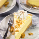 Who says ice cream is only for warm weather? This Eggnog Ice Cream Pie features creamy ice cream in a gingersnap cookie crust - it's a delicious treat for the holiday season!