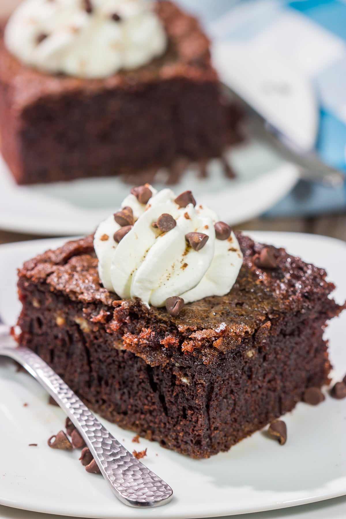Hot summer day? Skip the oven and bake this Grilled Chocolate Cake on the grill instead! This cake is topped with whipped cream to create a tasty summer dessert.